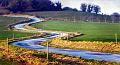 paysage 28_01_11n04